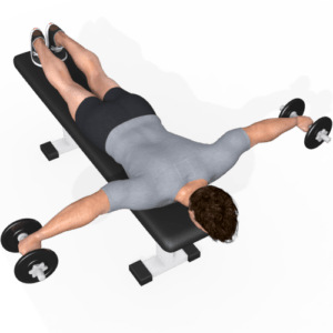 Dumbbell chest fly (Virtuagym)