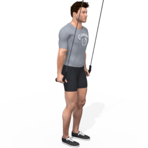 Tricep pushdown (Virtuagym)
